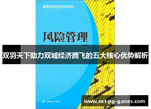 双羽天下助力双城经济腾飞的五大核心优势解析