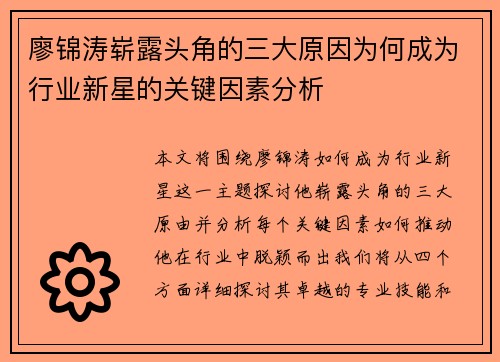 廖锦涛崭露头角的三大原因为何成为行业新星的关键因素分析