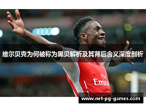 维尔贝克为何被称为黑贝解析及其背后含义深度剖析